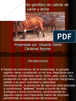 Produccion de Cabras