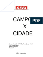 Campo X Cidade