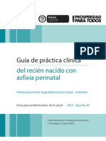 Guía de Práctica Clínica Del Recién Nacido Con Asfixia Perinatal