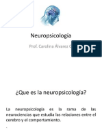 Neuropsicología Del Aprendizaje