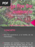 La Flor de Jamaica