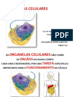 Guia Prático Das ORGANELAS CELULARES - Resumo