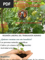 Aspecto Laboral Agropecuario