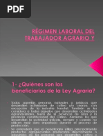 Régimen Laboral Del Trabajador Agrario