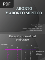 Aborto Seminario...