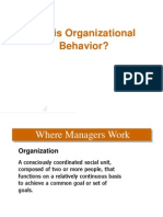 What Is Organizational Behavior?