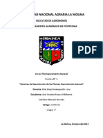 Informe 3-R. Asexual