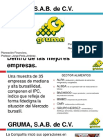 Analisi Financiero de Gruma