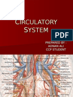 Circulatory System