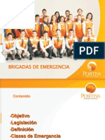 Brigadas de Emergencia - Positiva 2009 (19 Diapositivas)