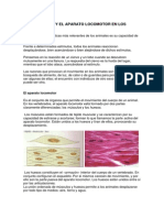 Sistema Locomotor en Vertebrados