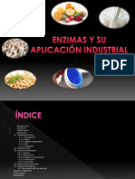 Enzimas en Las Industrias