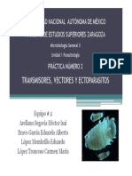 U1.p2.transmisores, Vectores y Ectoparasitos