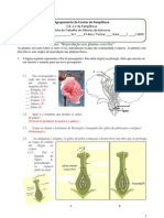 Ficha de Trabalho de Ciências Da Natureza Do 6º Ano - Reprodução Nas Plantas Com Flor