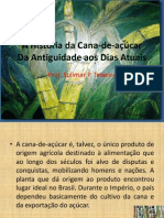 A História Da Cana-De-Açúcar PDF