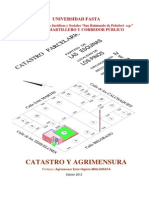 Texto de Catastro y Agrimensura 2013 (Muy Largo)