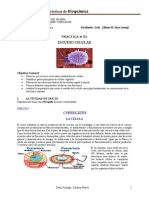 PRACTICA .. (1) Bioquimica