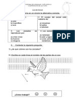 Guias Mayusculas Matte 2 Parte