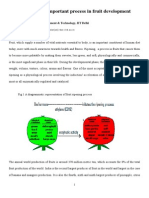 Fruit Ripening by Prof S. N. Naik, IIT Delhi