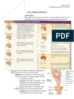 Pathophysiology Exam 3 - Review