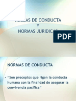 Reglas de Conducta y Normas Juridicas Extra