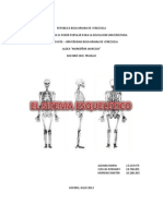 Trabajo Sobre El Sistema Óseo Humano