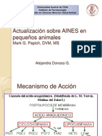 Actualización Sobre AINES en Pequeños Animales