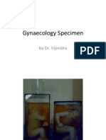 Gynaecology Specimen