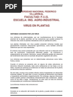 Virus en Plantas