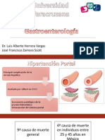 Hipertensión Portal