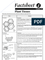 19 Plant Tissues