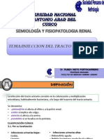 Universidad Nacional San Antonio Abad Del Cusco: Tema:Infeccion Del Tracto Urinario