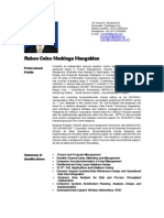 Ruben Mangaldan CV - 2009