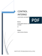 Ensayo Control Interno