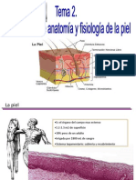 Tema 2. La Piel