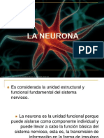 Neuron A