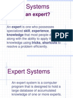 Expert Systems 