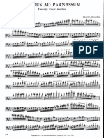 Simandl - Gradus Ad Parnassum Libro 2