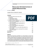 Chapter Seven - TGF-β1 Regulates Differentiation of Bone Marrow Mesenchymal Stem Cells