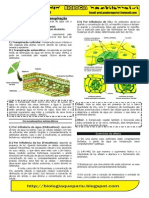 Transpiração Vegetal Resumo