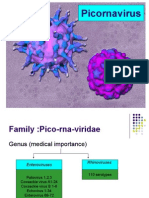 Pi Corn A Virus