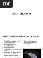 Vibrio Cholerae