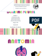 Derrame Pleural