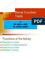 Abeer Renal Function Testsamr Renal Function Tests Renal Block