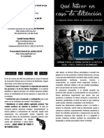 Que Hacer en Caso de detencionBAJA PDF