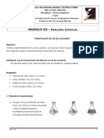 Módulo Q. 3 - Aula de Laboratório - Verificação Da Lei de Lavoisier