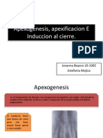 Apexogenesis, Apexificacion E Induccion Al Cierre