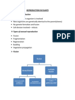 Reproduction in Plants