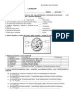 Evaluacion Celula Organelos