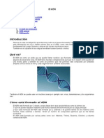 Introducción: El Adn